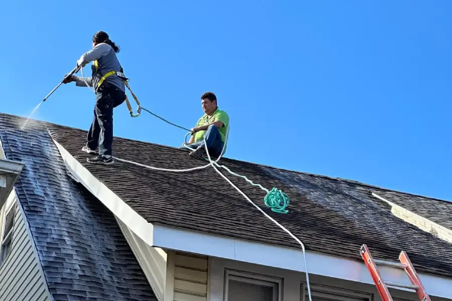 Roof Coatings & Protection